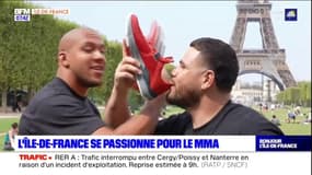 L'Île-de-France se passionne pour le MMA