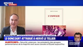 Hervé Le Tellier, lauréat du Goncourt 2020 pour "L'Anomalie": "Ça ne me déplairait pas d'imaginer ce livre à l'écran"