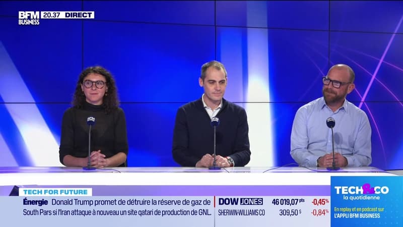 Les finalistes de la catégorie "Impact" - 19/03