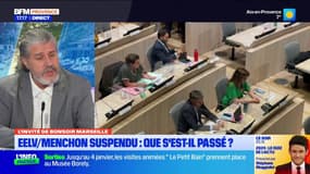 Marseille: Hervé Menchon suspendu "provisoirement" du parti EELV