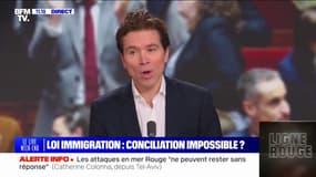 Loi Immigration: "Nous sommes favorables à une loi mais plus ferme" explique Geoffroy Didier, député européen LR