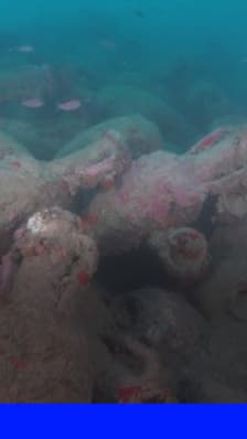 "Une immense étendue d'amphores en dessous de moi": une épave romaine découverte à l'ouest de la Sicile par deux plongeurs