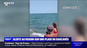 Alerte au requin sur une plage du Barcarès - 23/07