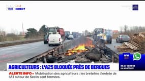 Colère des agriculteurs: l'A25 au niveau de Bergues bloquée ce jeudi