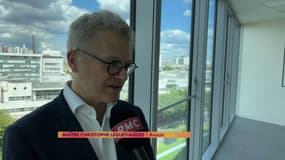 Scandale du Chlordécone: le tribunal administratif de Paris reconnaît des négligences de l'Etat