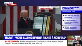Droits de douane américains: "L'Union européenne, ils sont très durs dans le commerce, on va les faire payer 20%", annonce Donald Trump