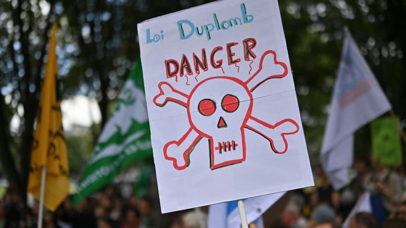 Dégradation de permanences, outrages: neuf atteintes aux parlementaires liées à la loi Duplomb recensées