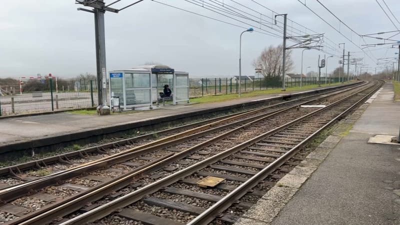 De Dunkerque au Tréport: l'association MétrOpale milite pour un train du littoral