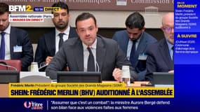 Shein au BHV: "Nous sommes exactement dans la démonstration de la complète déconnexion de l'appareil politique", affirme Frédéric Merlin, président du groupe SGM