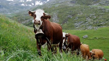 Mieux vaut gagner son salaire en Suisse ou en Autriche qu'en Bulgarie (photo d'illustration)