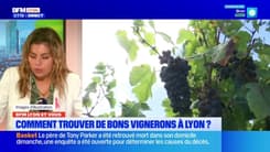 BFM Lyon et vous: comment trouver de bons vignerons à Lyon?