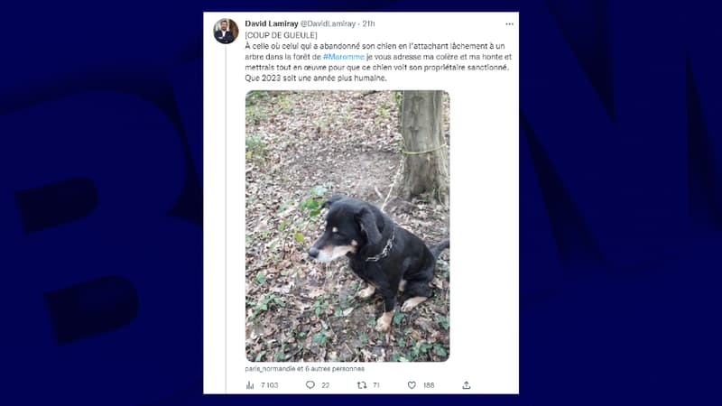 L'animal a été retrouvé par des agents de la police municipale. 