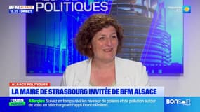 Strasbourg: de nombreuses actions pour faire face au changement climatique