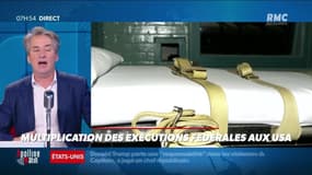Nicolas Poincaré : Multiplication des exécutions fédérales aux USA - 14/01