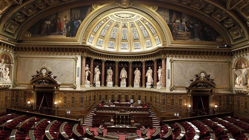 Le Sénat, où le gouvernement ne dispose pas de majorité stable, a rejeté samedi le projet de loi de finances rectificative 2012 qui comporte notamment le crédit d'impôt compétitivité, la mesure phare du pacte de compétitivité qui doit entrer en vigueur le