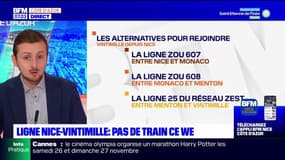 Nice-Vintimille: pas de train ce week-end