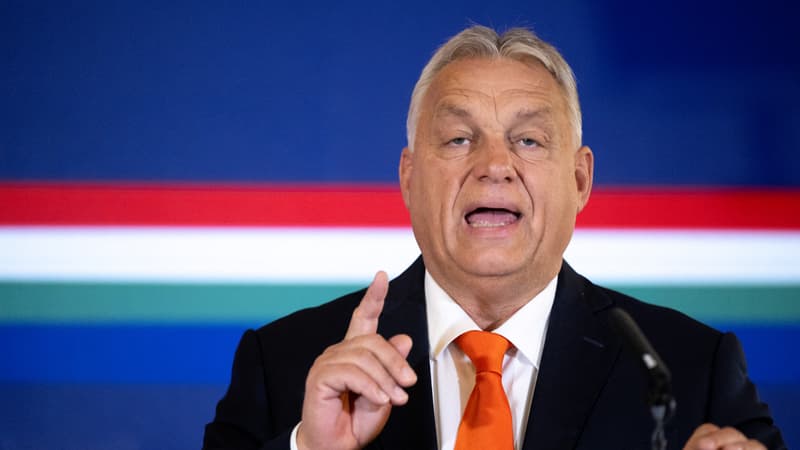 Hongrie: Viktor Orban promet d'éliminer rivaux politiques, juges, médias et ONG en cas de victoire aux législatives