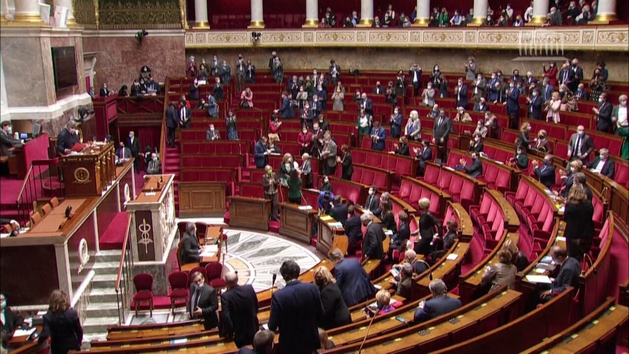 Le Parlement Adopte Lallongement Du Délai De Livg De 12 à 14 Semaines De Grossesse 