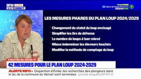 Sandrine Hauser, secrétaire adjointe FDSEA des Hautes-Alpes, reste dubitative après l'annonce du plan loup 2024-2029