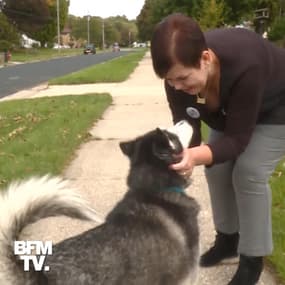 À 3 reprises, cette chienne a découvert que sa propriétaire avait un cancer 