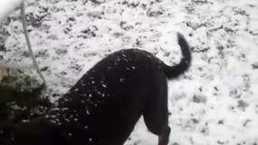 Neige à Limay, dans les Yvelines - Témoins BFMTV