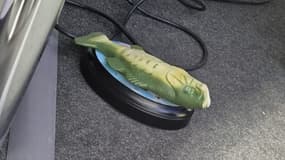 Le poisson offert à Xabi Alonso après Kaïrat Almaty-Real Madrid, le 30 septembre 2025.