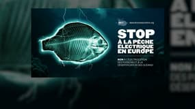 Une affiche dénonçant la pêche électrique