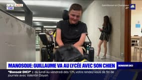 Manosque: Guillaume va au lycée avec son chien