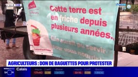 Lille: des agriculteurs donnent des baguettes en signe de protestation