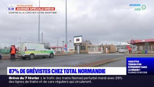 Seine-Maritime: 87% de grévistes chez Total Normandie