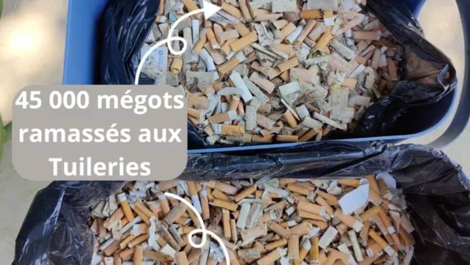 Opération nettoyage des déchets avec WeKlean