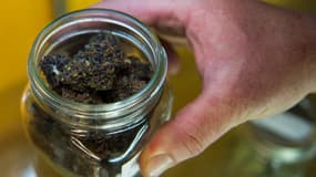Un client observe le contenu d'un pot de marijuana à vendre dans l'Oregon en mars 2016. 