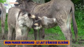 Mon Panier Normand : Le lait d'ânesse Elixâne