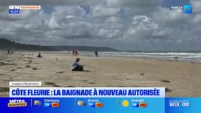 La baignade à nouveau autorisée sur la côte fleurie