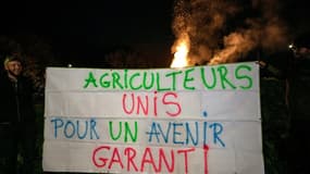 Des membres du syndicat agricole Jeunes agriculteurs 68 sur un rond-point d'Altkirch,en Alsace, le 14 novembre 2024