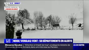 "Nos chèvres sont à l'abri, c'est le principal": dans la Manche, cette propriétaire d'une chèvrerie s'organise face aux chutes de neige 