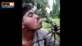 Un homme place sa langue dans la pince d’un crabe…