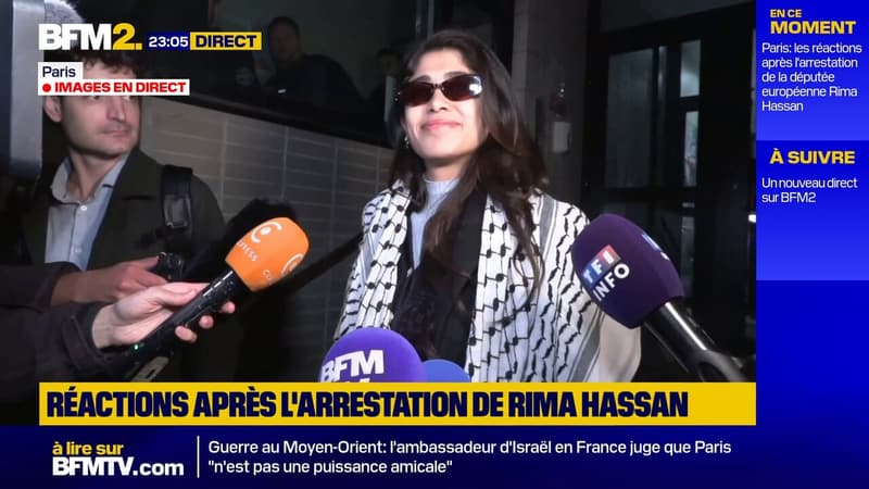 "Les gens ont été très corrects et professionnels": la députée européenne Rima Hassan s'exprime après sa garde à vue