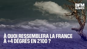  À quoi ressemblera la France à +4 dégrés en 2100 ? 