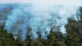 Vue aérienne le 1er août 2020 des incendies qui ont fait rage pendant des semaines dans le Pantanal et qui menaçaient une réserve naturelle abritant la plus grande population de jaguars au monde, dans l'Etat du Mato Grosso (centre-ouest) au Brésil.