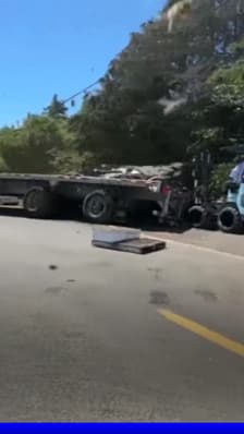 250 millions d’abeilles s’échappent d’un camion après un accident de la route aux États-Unis