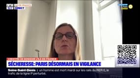 Sécheresse à Paris: Anne Souyris rappelle l'importance de la responsabilité collective et individuelle