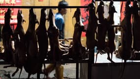 Des cadavres de chiens sur un marché de Yulin, en Chine, le 22 juin 2015.