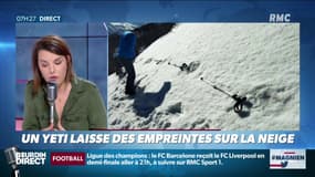 L'armée indienne sur la piste du Yéti