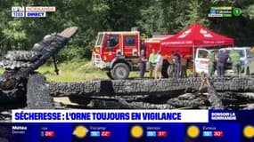 Orne: le dispositif de lutte contre les feux de forêt renforcé