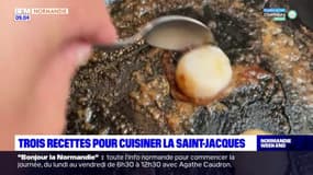 Normandie: trois recettes pour cuisiner la Saint-Jacques