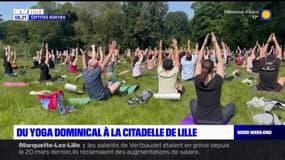 Les Ch'tites Sorties du samedi 3 juin 2023 - Du yoga dominical à la Citadelle de Lille