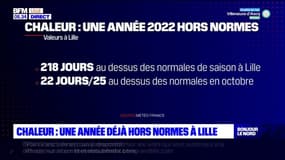 Chaleur: une année déjà hors normes à Lille 