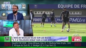 L'avis de Nicolas Vilas sur les Bleus après France-Pays-Bas