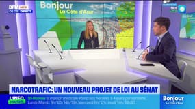 Un nouveau projet de loi au Sénat pour lutter contre les narcotrafiquants